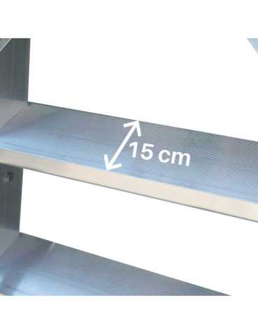 Escalera con plataforma y barandilla regulable TSA-S FARAONE 2