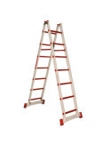 Escalera de doble subida de fibra de vidrio Peldaños 10-10 2TFVT-10 FARAONE