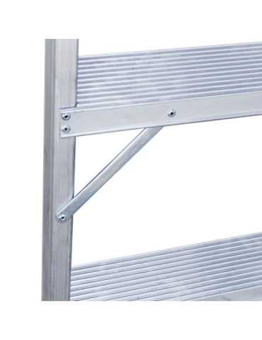 Escalera cónica para trabajos agrícolas Longitud de la escalera 268 cm T608 FARAONE 2