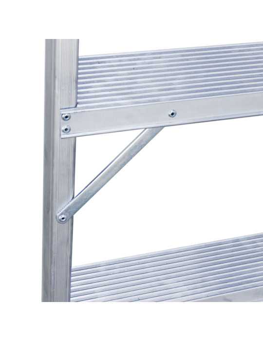 Escalera cónica para trabajos agrícolas Longitud de la escalera 268 cm T608 FARAONE