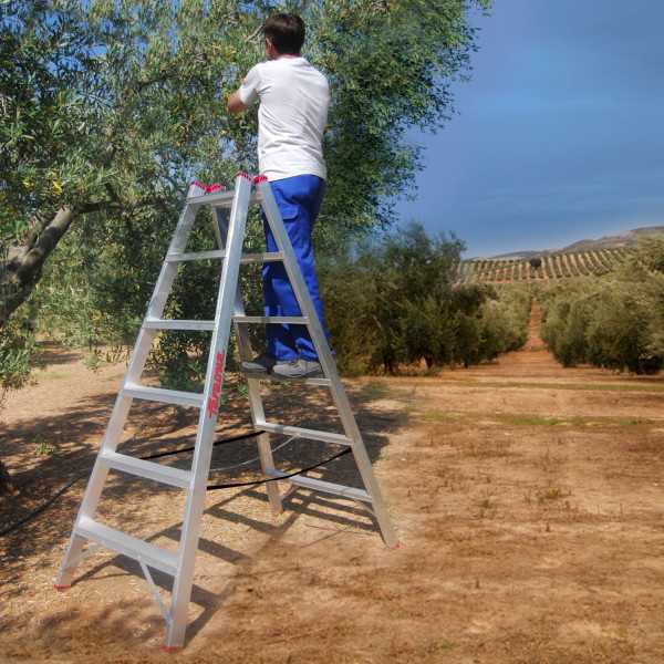 Escalera agrícola de doble subida Peldaños 9-9 T809 FARAONE