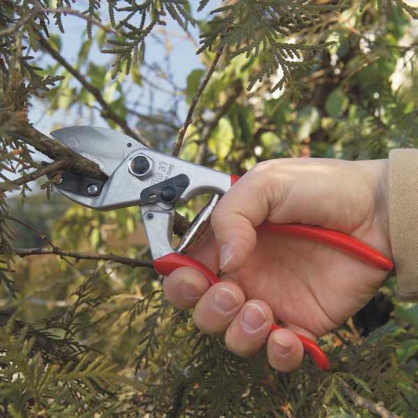 Tijera de Poda de Yunque, Modelo 31, para Mano Grande, Capacidad de Corte Hasta Ø25 mm FELCO