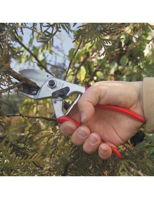 Tijera de Poda de Yunque, Modelo 31, para Mano Grande, Capacidad de Corte Hasta Ø25 mm FELCO