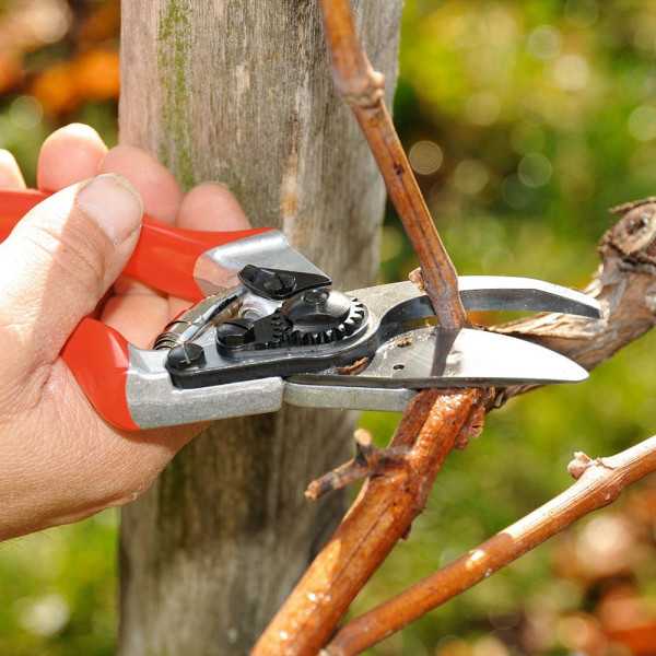 Tijera de Poda Ergonómica, tipo Bypass, Modelo 8, para Mano Grande, Capacidad de Corte Hasta Ø25 mm FELCO