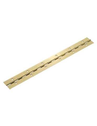 Bisagra Piano 2-32 1020MM Latonada 18419 [LOTE DE 4 Unidades] AMIG