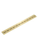 Bisagra Piano 2-32 1020MM Latonada 18419 [LOTE DE 4 Unidades] AMIG