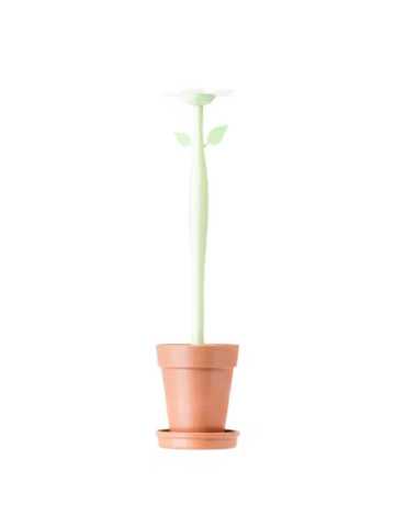 Escobillero WC Florganic 11467 [LOTE DE 4 Unidades] VIGAR