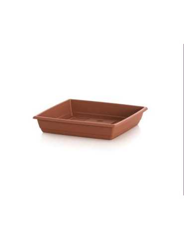 Plato Cuadrado Gardenia 25 X 25 509039 [LOTE DE 42 Unidades] PLASVIDAVI