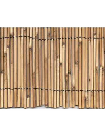 Cañizo Bambú Pelado 2X5M 270003 NOVARTIX
