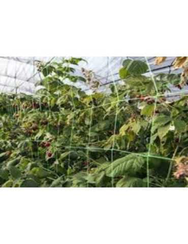 Malla de Entutorar 2X25 m 203012 [LOTE DE 4 Unidades] NOVARTIX