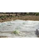 Velo de Crecimiento 2X5 m Blanco - 17 G/M2 213133 [LOTE DE 12 Unidades] NOVARTIX