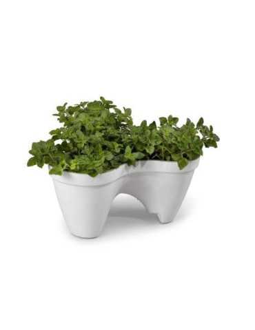 Maceta Ivy - White+green -.std 205565 [LOTE DE 2 Unidades] KETER