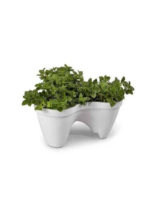 Maceta Ivy - White+green -.std 205565 [LOTE DE 2 Unidades] KETER