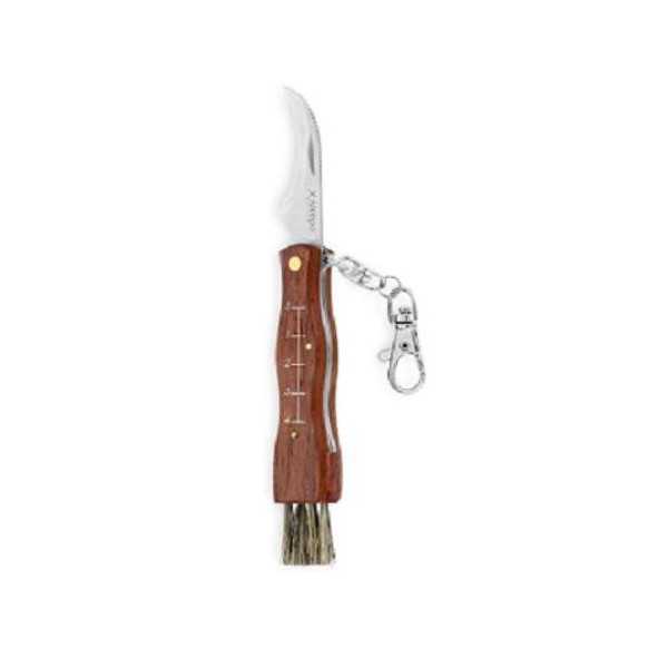 Navaja Recolectar Setas 7 cm 300-09 [LOTE DE 4 Unidades] KITCHEN BRANDS