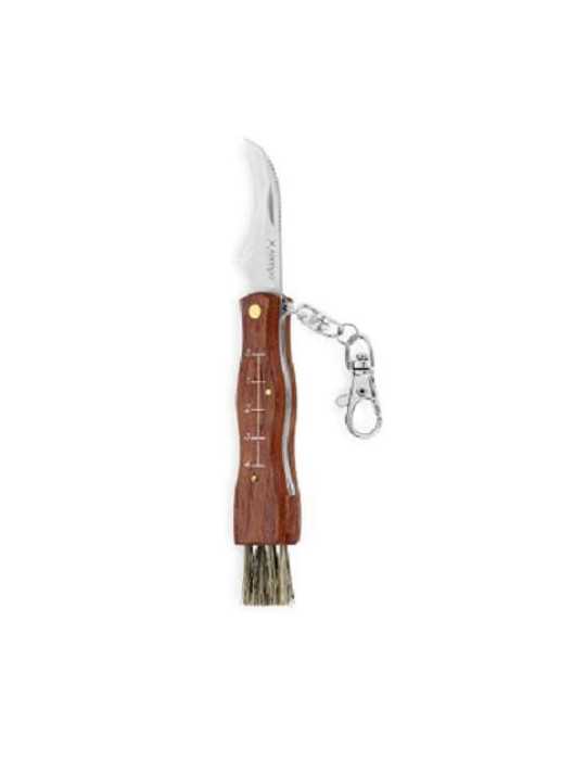 Navaja Recolectar Setas 7 cm 300-09 [LOTE DE 4 Unidades] KITCHEN BRANDS