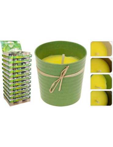 Vela Citronela con Cubo ECO 288000080 [LOTE DE 10 Unidades] KOOPMAN