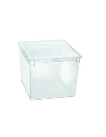 Caja Ordenación Light Box XXL 50 L Transparente [LOTE DE 2 Unidades] JOBGAR