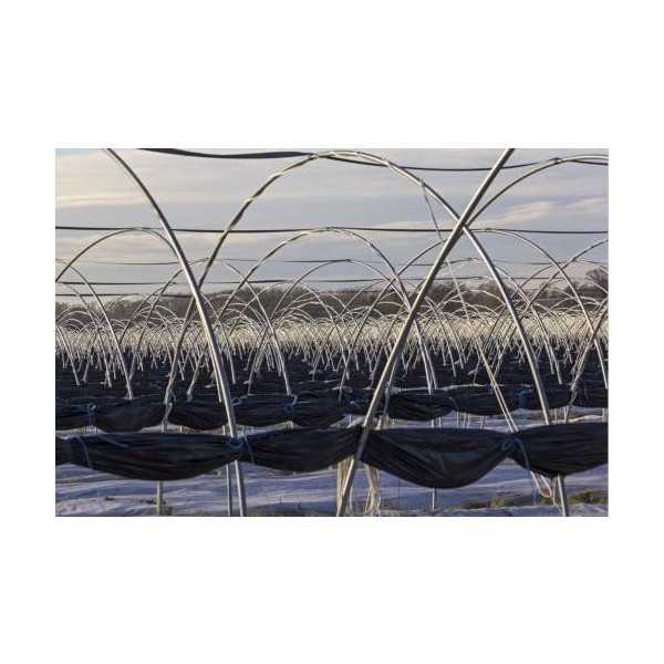 Film Especial Huerto 1,5X10 m 80255 [LOTE DE 4 Unidades] FUN&GO