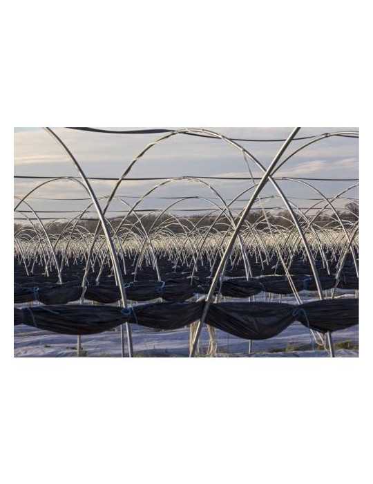 Film Especial Huerto 1,5X10 m 80255 [LOTE DE 4 Unidades] FUN&GO