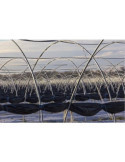 Film Especial Huerto 1,5X10 m 80255 [LOTE DE 4 Unidades] FUN&GO