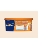 Pintura Plástica Interior Bruguer Naranja Sutil 4L XYLACEL