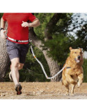 Correa Perro Manos Libres [LOTE DE 2 Unidades] INNOVAGOODS