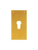 Placa Latonado Pera 80X120 Mate 300/33 [LOTE DE 4 Unidades] FERROGEST