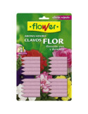 Abono Clavos Flor Blister 20 Unidades 1-10506 [LOTE DE 8 Unidades] FLOWER