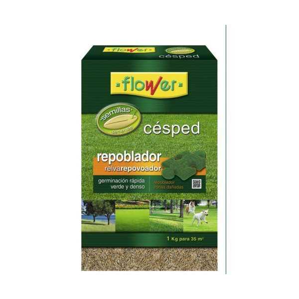Semillas Césped Repoblador 1 kg 1-10871 [LOTE DE 4 Unidades] FLOWER