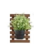Celosia Birdy Bankirai 40X57CM, Esp 38 mm 4651 [LOTE DE 2 Unidades] FOREST STYLE