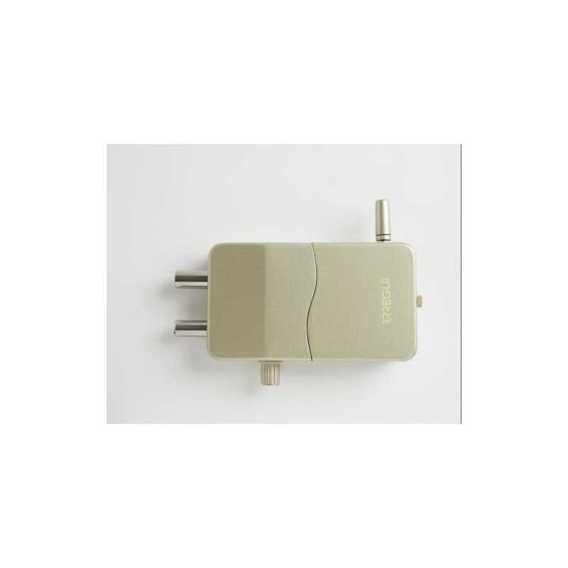 Cerradura invisible ARREGUI con alarma dorada CI10D-AL