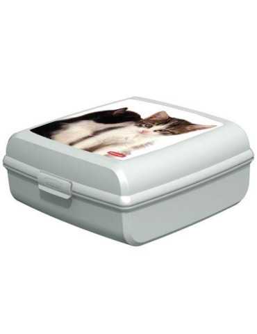 Caja Portaobjetos Gatos L 181171 [LOTE DE 8 Unidades] CURVER
