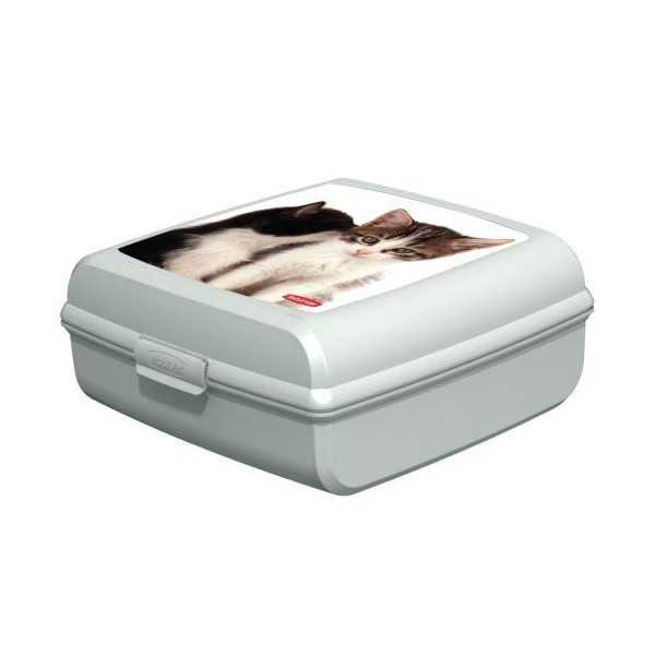 Caja Portaobjetos Gatos L 181171 [LOTE DE 8 Unidades] CURVER