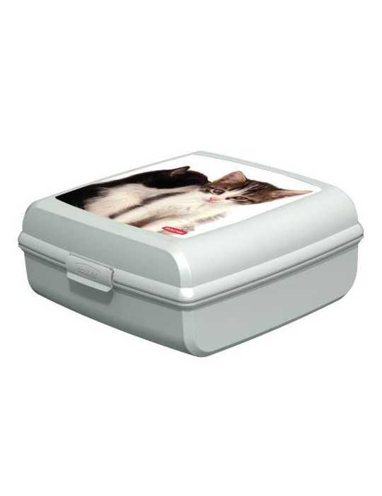Caja Portaobjetos Gatos L 181171 [LOTE DE 8 Unidades] CURVER