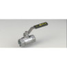 Valvula Tajo VAELLO 2000 hembra-hembra 2 inox. 00010