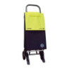 Carro ROLSER SBE latonado A-BI-nylon 4.2 lima