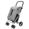 Carro compra CARLETT Clasicc Family ice LETT470-CI 64l