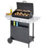 Barbacoa CAMPINGAZ Xpert 200 L vario (int)