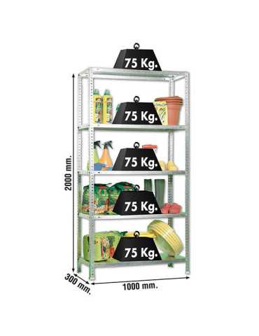 Estanteria 2000x1000x300 ADVANTAGE PLUS 5/300 GALVANIZADO marca SIMONRACK