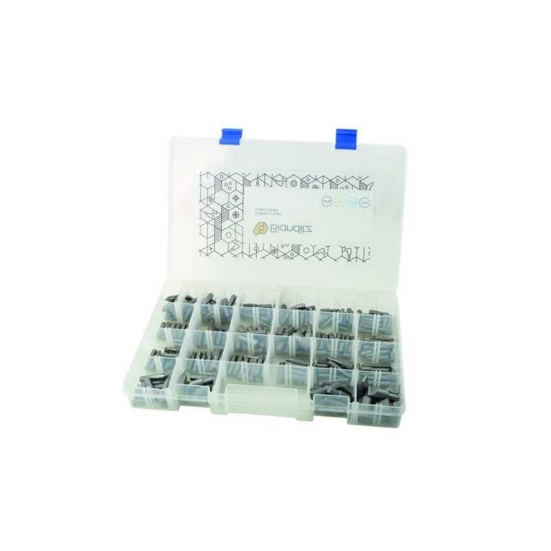 Caja 218 puntas BIANDITZ surtidas para profesionales 238989