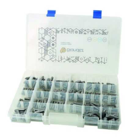 Caja 218 puntas BIANDITZ surtidas para profesionales 238989