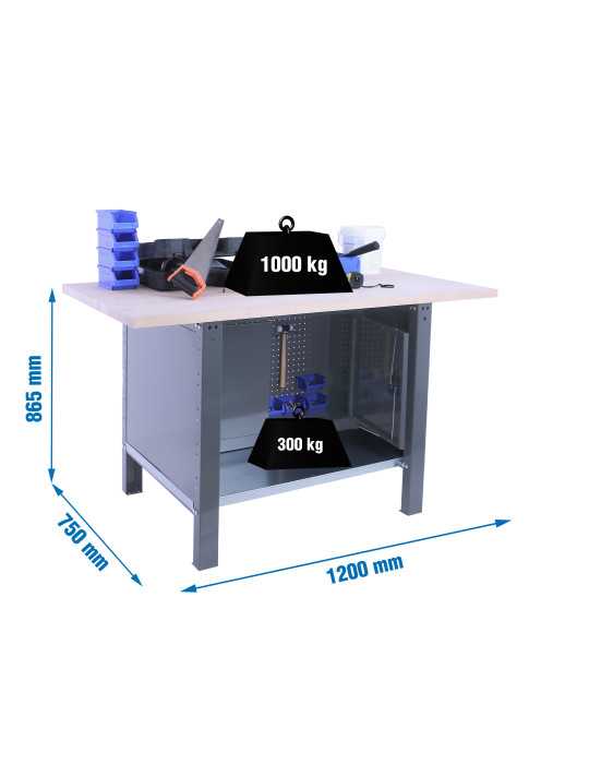 Banco trabajo 865x1200x750 SIMONWORK BT6 PRO LAMINATE CABINET 1200 GRIS/HAYA marca SIMONRACK