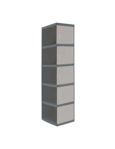 Taquilla 1800x300x500 SIMONLOCKER PROFESIONAL 5 PUERTA 1/5 300 ADI AN/GR marca SIMONRACK