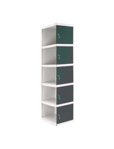 Taquilla 1800x300x500 SIMONLOCKER PROFESIONAL 5 PUERTA 1/5 300 ADI BL/AN marca SIMONRACK