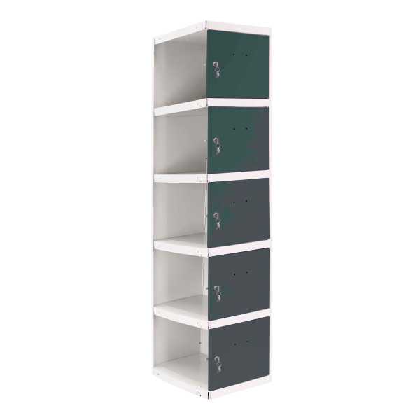 Taquilla 1800x300x500 SIMONLOCKER PROFESIONAL 5 PUERTA 1/5 300 ADI BL/AN marca SIMONRACK