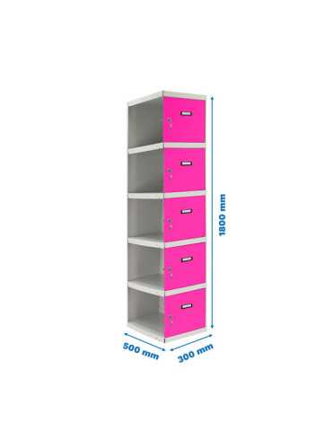 Taquilla 1800x300x500 SIMONLOCKER PROFESIONAL 5 PUERTA 1/5 300 ADI GR/RS marca SIMONRACK