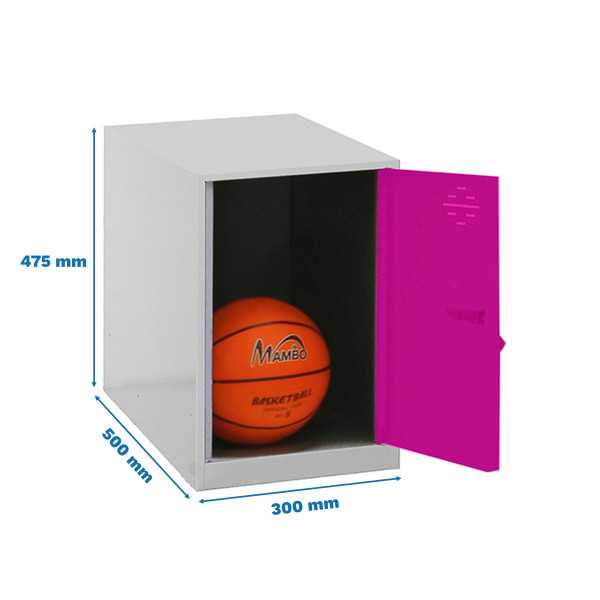 Taquilla 475x300x500 SIMONLOCKER DISM. MINI 475x300x500 mm GR/ROS marca SIMONRACK