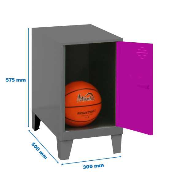 Taquilla 575x300x500 SIMONLOCKER DISM.MINI 475x300x500+PIES ANT/ROS marca SIMONRACK