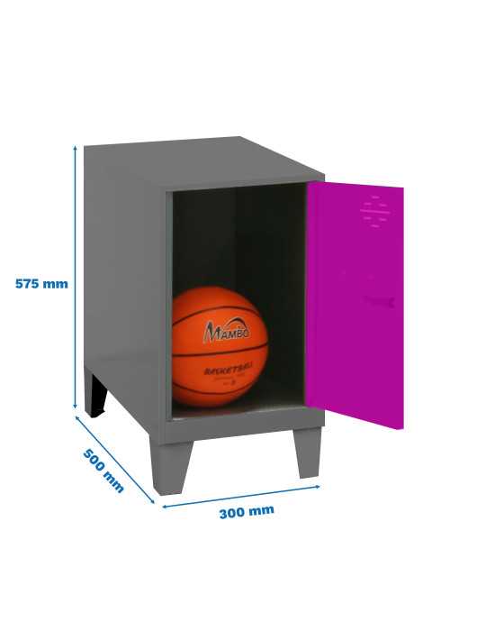 Taquilla 575x300x500 SIMONLOCKER DISM.MINI 475x300x500+PIES ANT/ROS marca SIMONRACK
