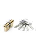 Cilindro seguridad 30x60 laton doble embrague yl6 YALE